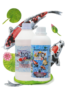 produk probiotik ikan hias xtroplus