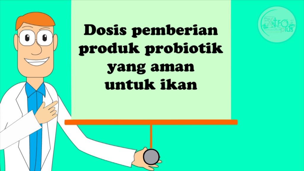 Cara Pemakaian Produk Probiotik Pada Akuarium