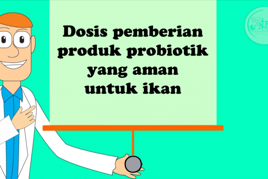Cara Pemakaian Produk Probiotik Pada Akuarium