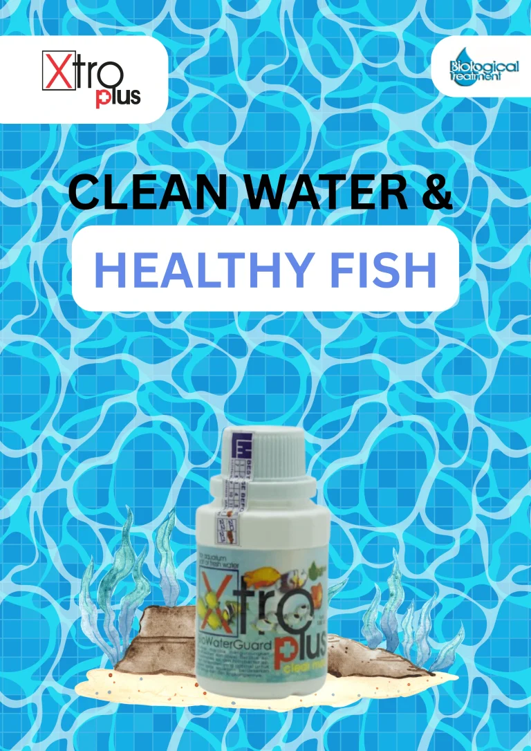 Probiotik ikan hias 100 mL-min