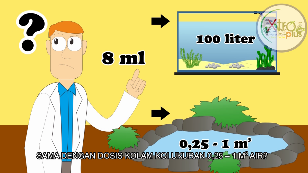 Cara Pakai Produk Probiotik Pada Kolam Koi