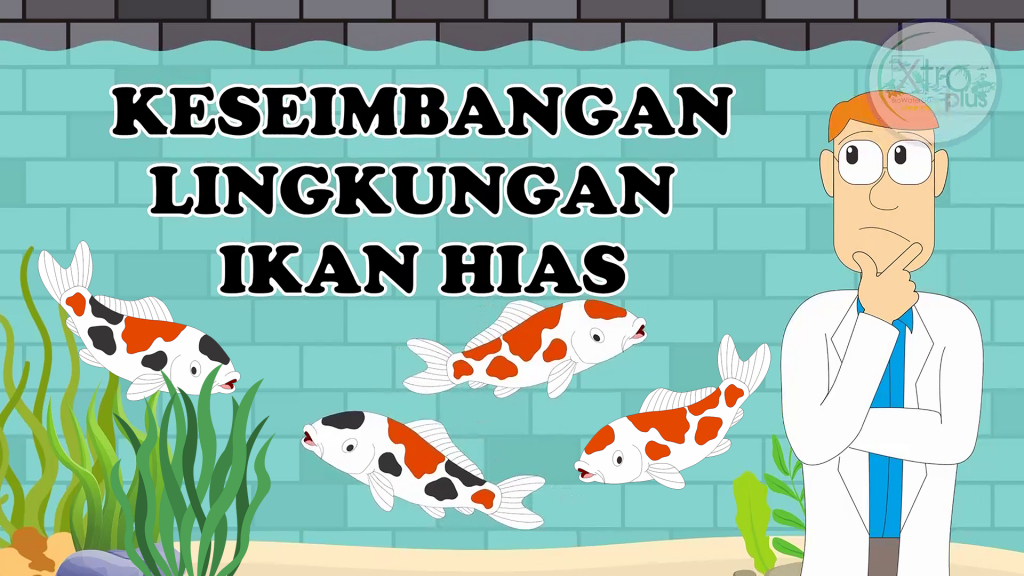Hobi bermain ikan hias sama saja dengan meniru ekosistem yang ada di alam lalu di aplikasikan pada kolam atau akuarium.