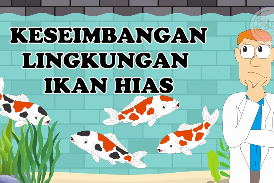 Hobi bermain ikan hias sama saja dengan meniru ekosistem yang ada di alam lalu di aplikasikan pada kolam atau akuarium.