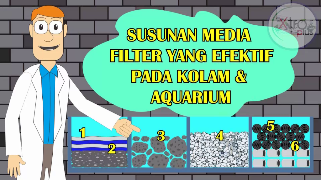 Penyusunan Media Filter Kolam Koi