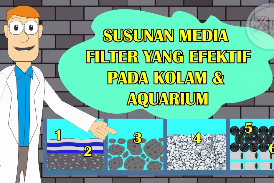 Penyusunan Media Filter Kolam Koi