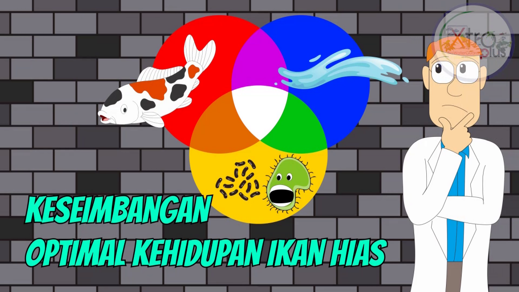 Dalam memelihara ikan hias, harus mempertimpangkan pertumbuhan ikan, agar ikan dapat tumbuh secara optimal.