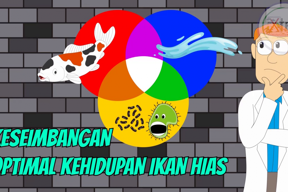 Dalam memelihara ikan hias, harus mempertimpangkan pertumbuhan ikan, agar ikan dapat tumbuh secara optimal.
