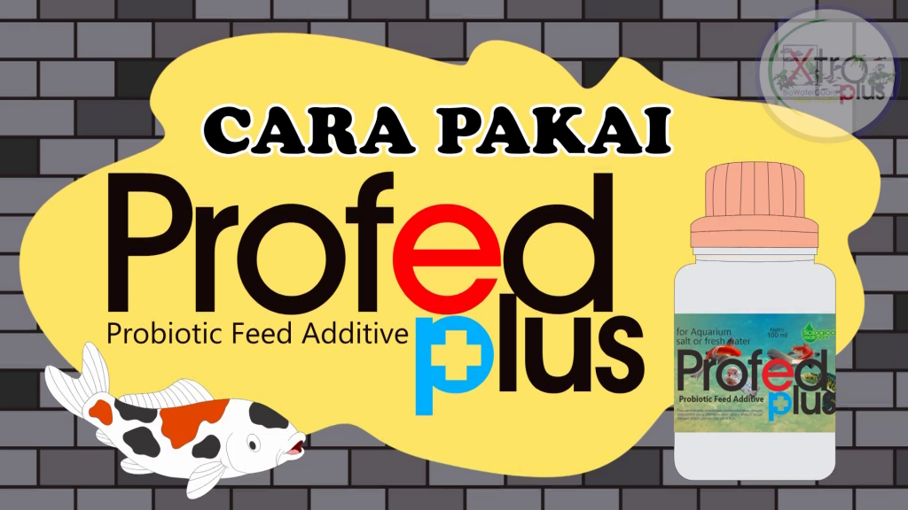 Ikan perlu feed additive yang akan mengembalikan kualitas pakan, salah satu produk yang dapat digunakan adalah Profed Plus.