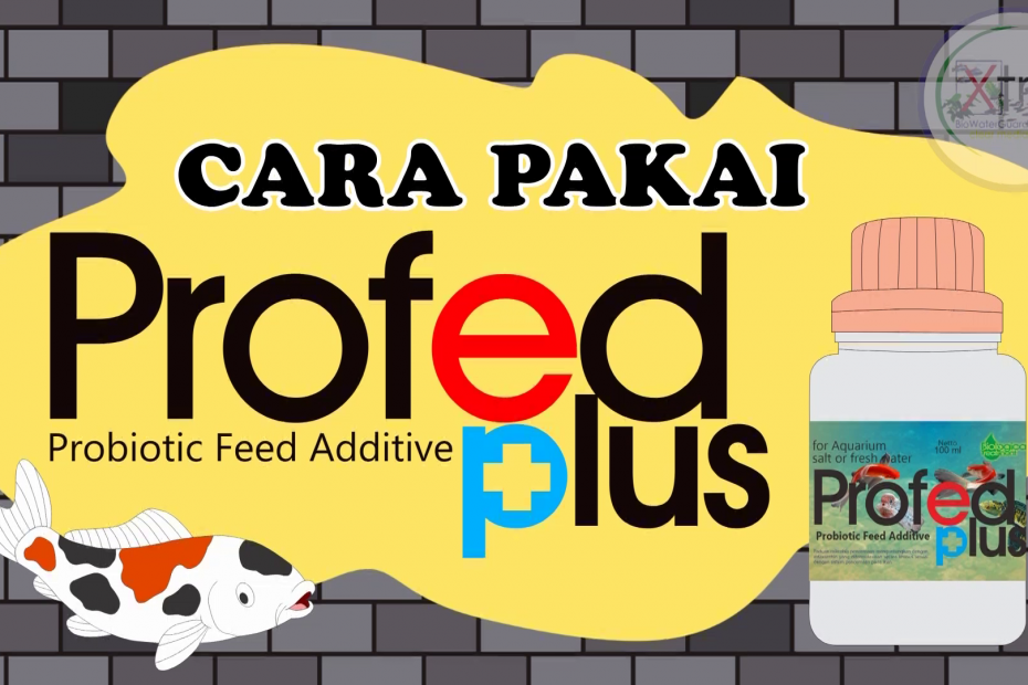 Ikan perlu feed additive yang akan mengembalikan kualitas pakan, salah satu produk yang dapat digunakan adalah Profed Plus.