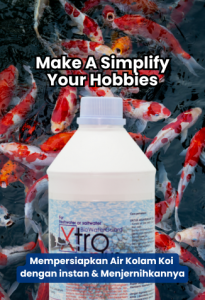 solusi produk probiotik ikan hias xtroplus