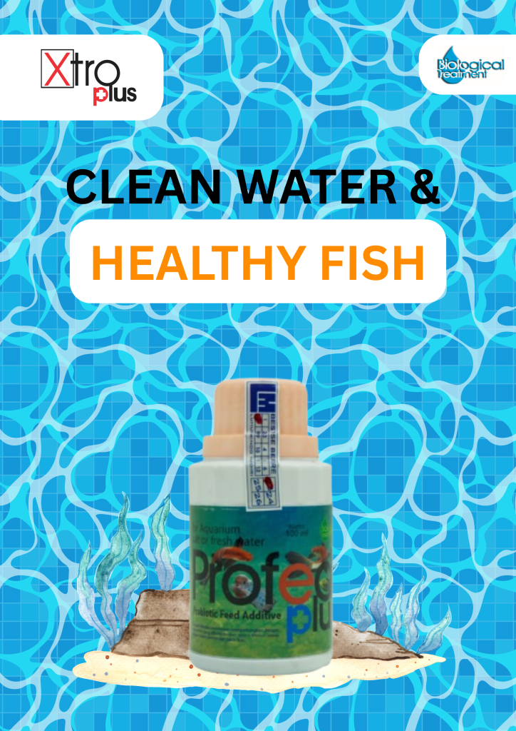 produk probiotik ikan profed plus 100 mL