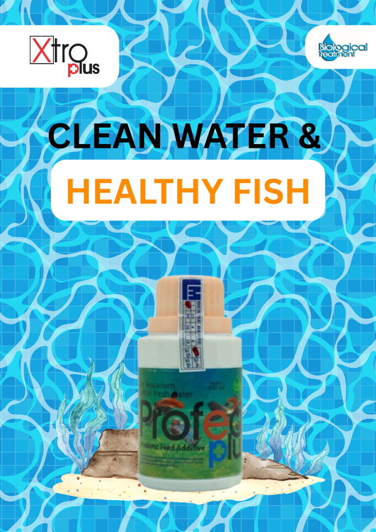 produk probiotik ikan profed plus 100 mL