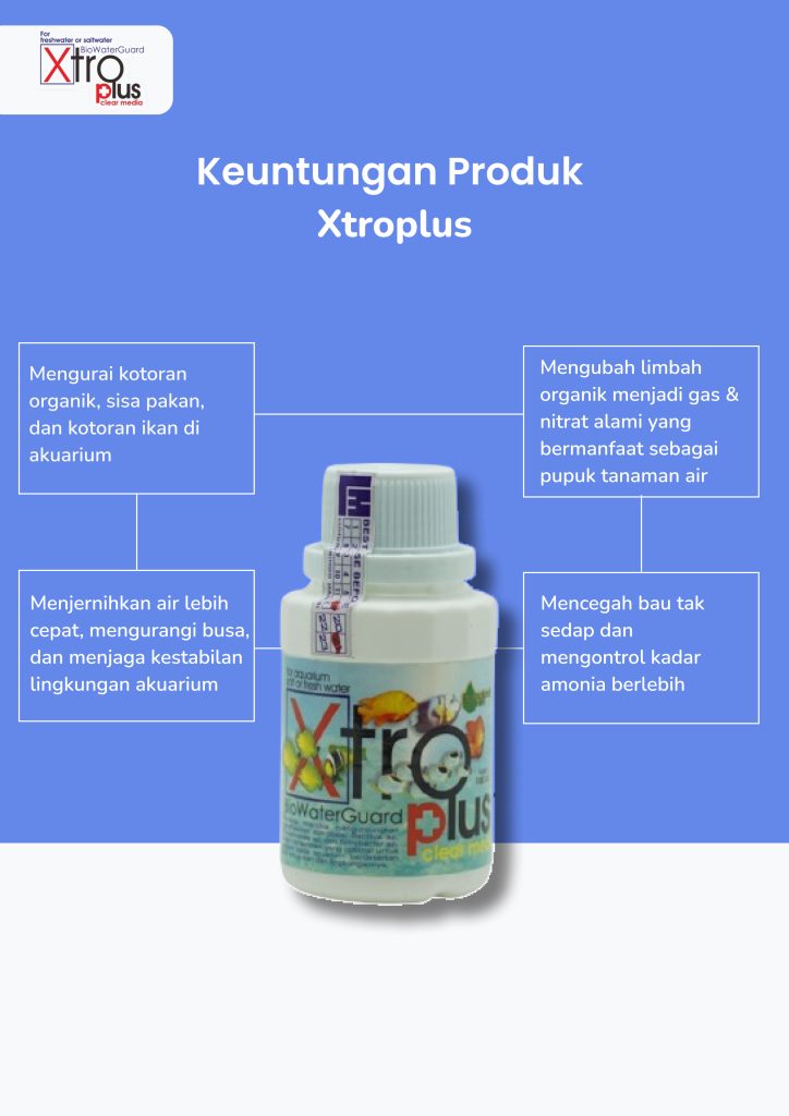 Probiotik Ikan Hias laut & Tawar