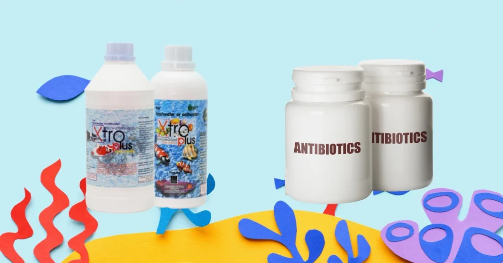 Seiring berkembangnya teknologi, dua pendekatan utama digunakan dalam pengelolaan penyakit dan pertumbuhan ikan: antibiotik dan probiotik.