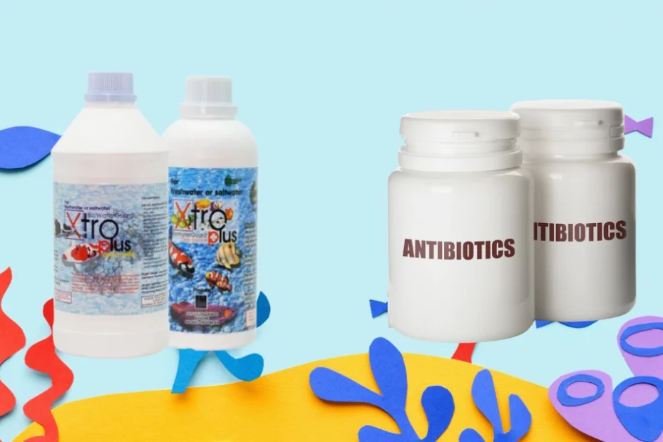 Seiring berkembangnya teknologi, dua pendekatan utama digunakan dalam pengelolaan penyakit dan pertumbuhan ikan: antibiotik dan probiotik.