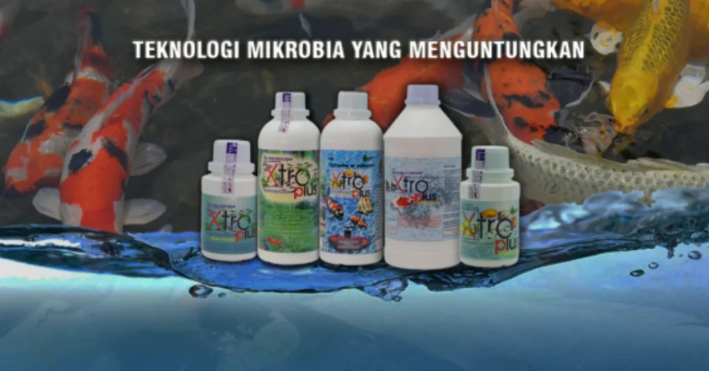 Probiotik bukan lagi hal yang asing. Namun, bagaimana sebenarnya cara kerja probiotik di dalam sistem pencernaan ikan?