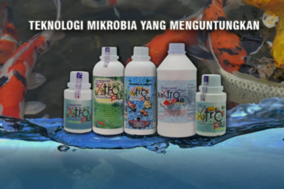 Probiotik bukan lagi hal yang asing. Namun, bagaimana sebenarnya cara kerja probiotik di dalam sistem pencernaan ikan?