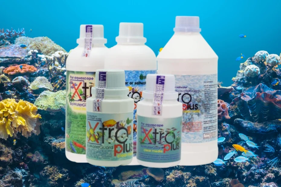 Bakteri starter adalah kumpulan mikroorganisme hidup yang berperan penting dalam proses biologis di sistem akuarium.