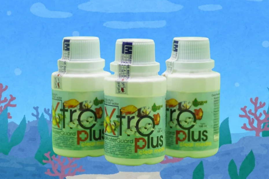 Dalam merawat akuarium, penggunaan produk bakteri starter dan probiotik menjadi penting agar ikan sehat serta kualitas air tetap terjaga.