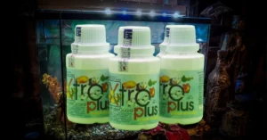 Ini Dosis Bakteri Starter Akuarium yang Bikin Ikan Sehat