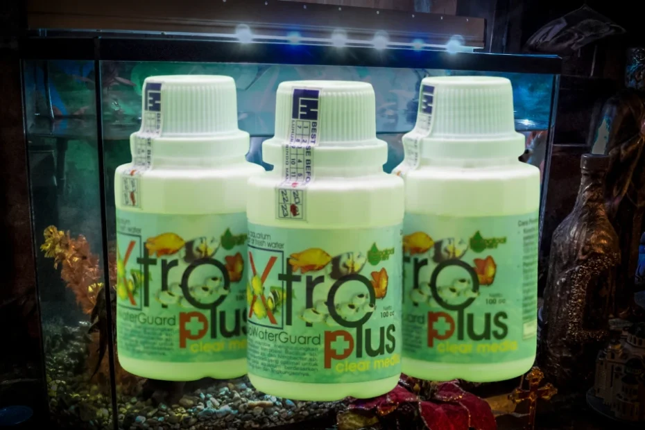 Ini Dosis Bakteri Starter Akuarium yang Bikin Ikan Sehat