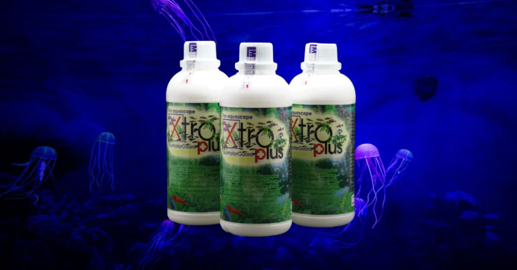 5 Jenis Bakteri dan Probiotik untuk Ikan Hias