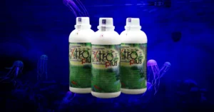 5 Jenis Bakteri dan Probiotik untuk Ikan Hias