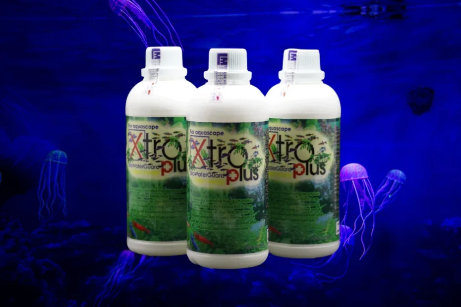 5 Jenis Bakteri dan Probiotik untuk Ikan Hias