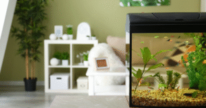 Cara Membuat Akuarium Mini Aquascape Cantik di Rumah