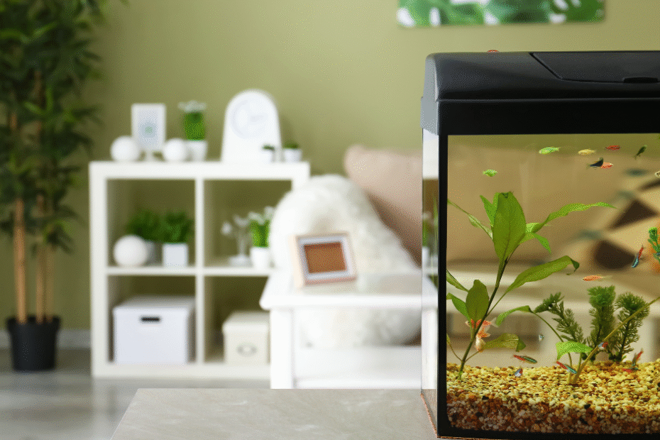 Cara Membuat Akuarium Mini Aquascape Cantik di Rumah