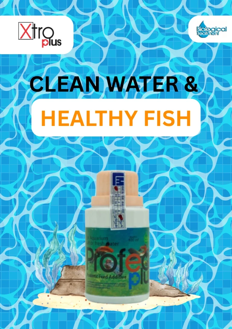produk probiotik ikan profed plus 100 mL